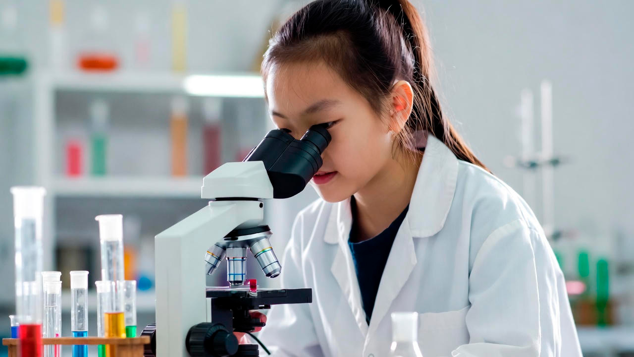 Механизм действия (H₂): Противовоспалительные действия