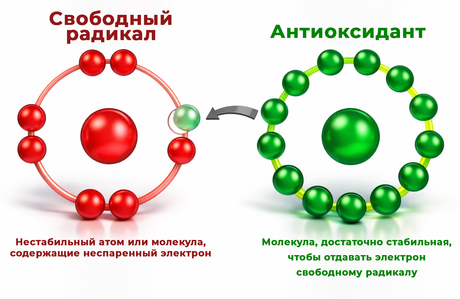 Биологически опасные гидроксильный радикал (•OH) и пероксинитрит (ONOO⁻)